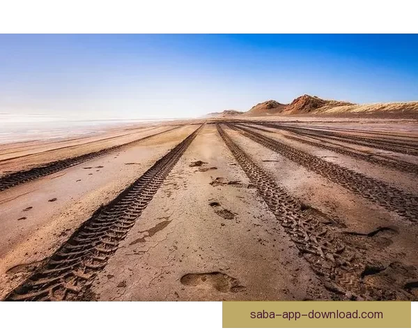 围绕世界杯竞猜游戏规则解析与投注技巧全面指南助你轻松参与精彩赛事竞猜