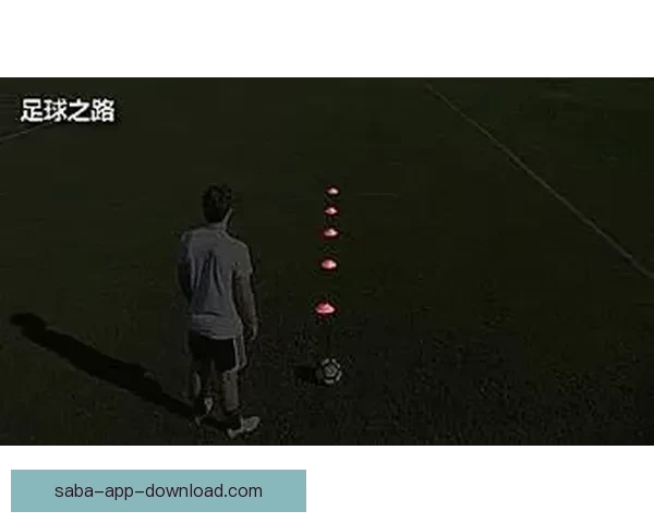 体育竞猜预测秘籍解析 精准分析技巧助你提升赢率